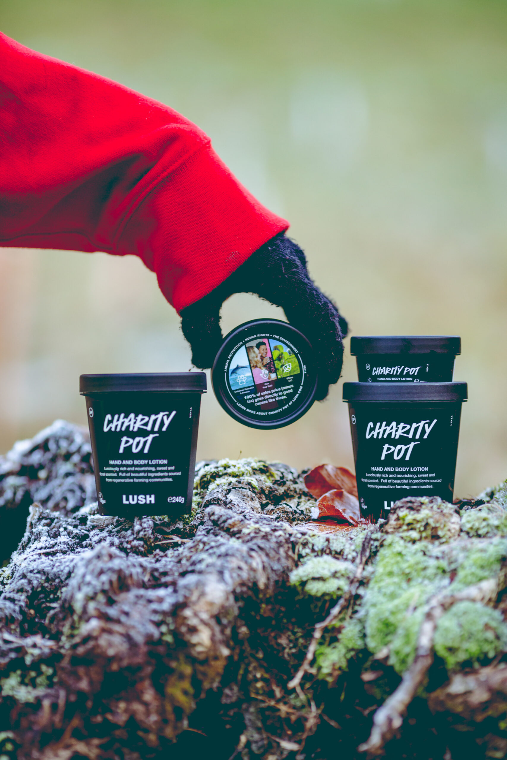 Lush-WebRes-7383